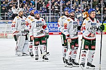 Eishockey, Herren, Penny DEL, 34. Spieltag, Saison 2023-2024, Straubing Tigers - Augsburger Panther,03.01.2024