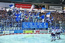Eishockey, Herren, DEL, Saison 2021-2022, Playoff, Viertelfinale, Spiel 3, Straubing Tigers - Adler Mannheim, 14.04.2022