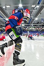 Eishockey, Herren, Penny DEL, 12. Spieltag, Saison 2023-2024, Straubing Tigers - Duesseldorfer EG,20.10.2023