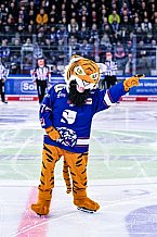 Eishockey, Herren, Penny DEL, DEL, Saison 2022-2023, Playoffs, Viertelfinale, Spiel 5, Straubing Tigers - Grizzlys Wolfsburg, 24.03.2023