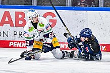 Eishockey, Herren, Penny DEL, Playoffs, Halbfinale, Spiel 2, Saison 2023-2024, Straubing Tigers - Eisbären Berlin, n03.04.2024