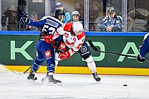 Eishockey, Men, CHL, Champions Hockey League, Regular Saison 2024-25, Game Day 4, Straubing Tigers - Dynamo Pardubice, 15.09.2024
