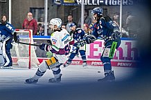 Eishockey, Herren, Penny DEL, Playoffs, Halbfinale, Spiel 4, Saison 2023-2024, Straubing Tigers - Eisbären Berlin, n07.04.2024