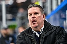 Eishockey, Herren, Penny DEL, 40. Spieltag, Saison 2023-2024, Straubing Tigers - Augsburger Panther,21.01.2024