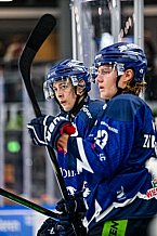 Eishockey, Men, DEL, Penny DEL, Hauptrunde Saison 2024-25, 1. Spieltag, Straubing Tigers - Düsseldorfer EG, 20.09.2024