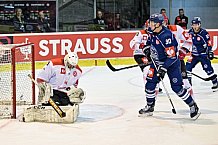 Eishockey, CHL, Champions Hockey League, 1. Spieltag, Saison 2022-2023, Gruppe F, Comarch Cracovia - Straubing Tigers, 01.09.2022