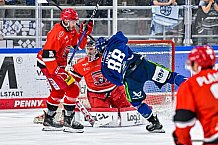 Eishockey, Herren, Penny DEL, Saison 2024-2024, Vorbereitung, Spiel um Platz 3 - Gäubodencup 2024, Straubing Tigers - Mountfield HK, 31.08.2024