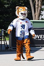 Eishockey, Herren, DEL, Saison 2021-2022, Straubing Tigers, 14.08.2021