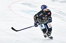 Eishockey, Herren, Penny DEL, 52. Spieltag, Saison 2023-2024, Straubing Tigers - Grizzlys Wolfsburg,08.03.2024