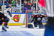 Eishockey, Men, CHL, Champions Hockey League, Regular Saison 2024-25, Game Day 1, Straubing Tigers - SonderjyskE Vojens, 06.09.2024