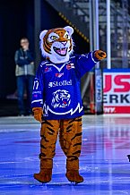 Eishockey, Men, DEL, Penny DEL, Hauptrunde Saison 2024-25, 4. Spieltag, Straubing Tigers - EHC Red Bull München, 29.09.2024