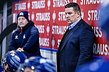 Eishockey, Herren, CHL, Champions Hockey League, Saison 2022-2023, Achtelfinale, Straubing Tigers - Frölunda HC Göteborg, Rückspiel, 22.11.2022