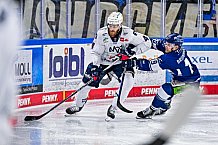 Eishockey, Herren, Penny DEL, 44. Spieltag, Saison 2023-2024, Straubing Tigers - Adler Mannheim,04.02.2024