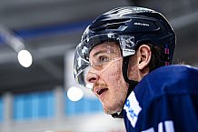 Eishockey, Herren, DEL, Saison 2021-2022, Playoff, Viertelfinale, Spiel 3, Straubing Tigers - Adler Mannheim, 14.04.2022