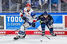 Eishockey, Herren, Penny DEL, Playoffs, Viertelfinale, Spiel 7, Saison 2023-2024, Straubing Tigers - Schwenninger Wild Wings,30.03.2024