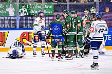 Eishockey, CHL, Champions Hockey League, 2. Spieltag, Saison 2022-2023, Gruppe F, Färjestad Karlstad - Straubing Tigers, 03.09.2022