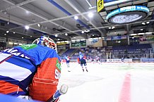 Eishockey, Herren, DEL, Saison 20202021, Straubing Tigers - Adler Mannheim, 22.01.2021