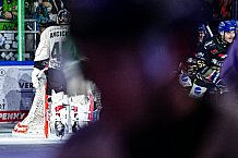 Eishockey, Herren, Penny DEL, 47. Spieltag, Saison 2023-2024, Straubing Tigers - Koelner Haie,18.02.2024