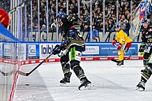 Eishockey, Herren, Penny DEL, 20. Spieltag, Saison 2023-2024, Straubing Tigers - Duesseldorfer EG,19.11.2023