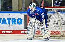 Eishockey, DEL, Penny-DEL, Vorbereitung, Straubing Tigers - HC Lugano, Gäubodencup 2022, 18.08.2022