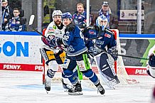 Eishockey, Herren, Penny DEL, Playoffs, Halbfinale, Spiel 2, Saison 2023-2024, Straubing Tigers - Eisbären Berlin, n03.04.2024