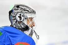 Eishockey, Herren, DEL, Saison 2020-2021, Straubing Tigers - Adler Mannheim, 06.03.2021