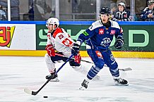 Eishockey, Men, CHL, Champions Hockey League, Regular Saison 2024-25, Game Day 4, Straubing Tigers - Dynamo Pardubice, 15.09.2024