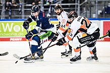 Eishockey, Herren, DEL, Saison 2021-2022, 39. Spieltag, Straubing Tigers - Grizzlys Wolfsburg,  18.02.2022