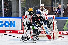 Eishockey, Herren, Penny DEL, 22. Spieltag, Saison 2023-2024, Straubing Tigers - Fischtown Pinguins Bremerhaven,26.11.2023
