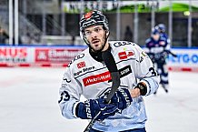 Eishockey, Herren, Penny DEL, 42. Spieltag, Saison 2023-2024, Straubing Tigers - Ingolstadt Panther,28.01.2024