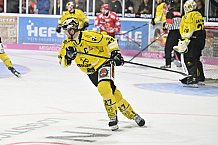 Herren, Eishockey, Oberliga-Süd, DEB, Saison 2024-2025, Deggendorfer SC - Tölzer Löwen, 22.09.2024