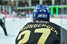 Eishockey, Herren, Penny DEL, 16. Spieltag, Saison 2023-2024, Straubing Tigers - Schwenninger Wild Wings,31.10.2023