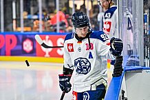 Eishockey, Men, CHL, Champions Hockey League, Regular Saison 2024-25, Game Day 1, Straubing Tigers - SonderjyskE Vojens, 06.09.2024