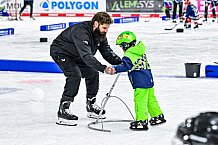 Eishockey, Men, DEL, Penny DEL,  Straubing Tigers - Kids on Ice, 28.09.2024