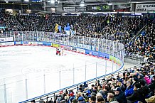 Eishockey, Herren, Penny DEL, 26. Spieltag, Saison 2023-2024, Straubing Tigers - Iserlohn Roosters,10.12.2023