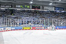 Eishockey, Herren, Penny DEL, Playoffs, Viertelfinale, Spiel 5, Saison 2023-2024, Straubing Tigers - Schwenninger Wild Wings,26.03.2024