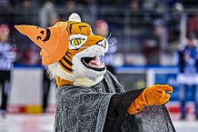 Eishockey, Herren, DEL, Saison 2021-2022, 29.10.2021