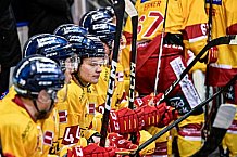 Eishockey, Herren, Penny-DEL, DEL, Saison 2022-2023, Hauptrunde, Straubing Tigers - Düsseldorfer EG, 45. Spieltag, 22.01.2023