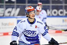 Eishockey, Herren, DEL, Saison 2020 2021, Straubing Tigers - Schwenninger Wild Wings, 25.01.2021