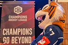 Eishockey, Herren, DEL, Saison 2023-2023, Straubing Tigers, Teampräsentation, Weckmannszelt, Gäubodenvolksfest, 13.08.2022