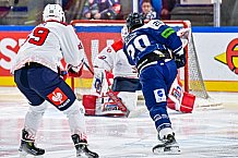 Eishockey, Men, CHL, Champions Hockey League, Regular Saison 2024-25, Game Day 4, Straubing Tigers - Dynamo Pardubice, 15.09.2024