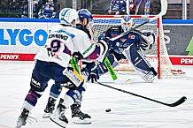 Eishockey, Herren, Penny DEL, Playoffs, Halbfinale, Spiel 2, Saison 2023-2024, Straubing Tigers - Eisbären Berlin, n03.04.2024