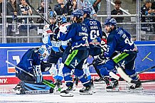 Eishockey, Herren, Penny DEL, Saison 2024-2024, Vorbereitung, Gäubodencup 2024, Straubing Tigers - ERC Ingolstadt, 29.08.2024