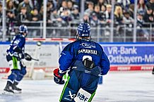Eishockey, Men, DEL, Penny DEL, Hauptrunde Saison 2024-25, 8. Spieltag, Straubing Tigers - Adler Mannheim, 11.10.2024