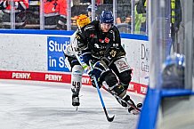 Eishockey, Herren, Penny DEL, 22. Spieltag, Saison 2023-2024, Straubing Tigers - Fischtown Pinguins Bremerhaven,26.11.2023