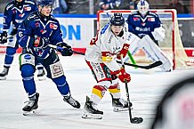 Eishockey, Men, DEL, Penny DEL, Hauptrunde Saison 2024-25, 1. Spieltag, Straubing Tigers - Düsseldorfer EG, 20.09.2024