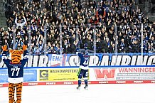 Eishockey, Herren, DEL, Saison 2021-2022, 07.11.2021