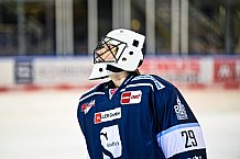 Eishockey, Herren, DEL, Saison 2021-2022, 25. Spieltag, Straubing Tigers - Augsburger Panther,  20.02.2022