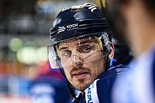 Eishockey, Herren, DEL, Saison 2021-2022, Playoff, Viertelfinale, Spiel 1, Straubing Tigers - Adler Mannheim, 10.04.2022