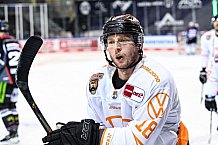 Eishockey, Herren, DEL, Saison 2020-2021, Straubing Tigers - Grizzlys Wolfsburg, 16.04.2021
